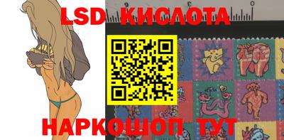 стаф Вязники
