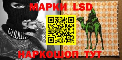 стаф Вязники