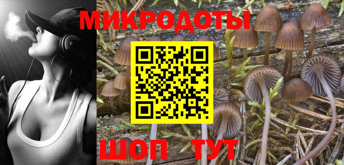 Галлюциногенные грибы Psilocybine cubensis Большой Камень
