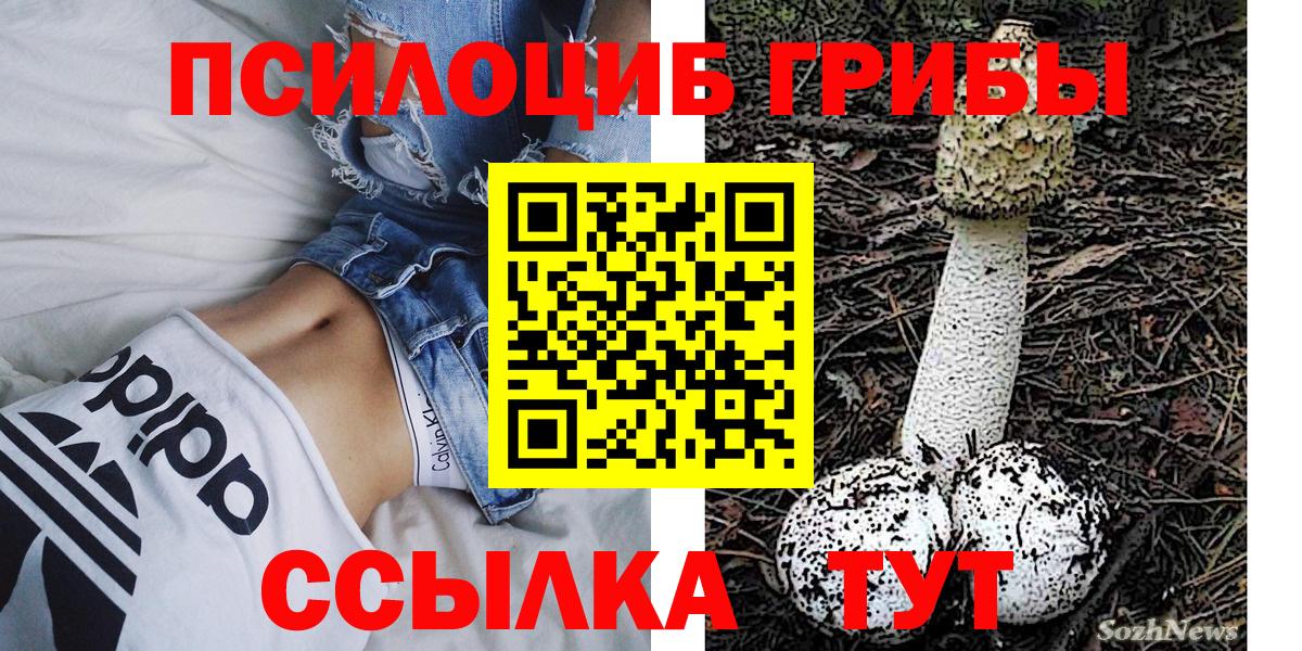 Большой Камень  Псилоцибиновые грибы мицелий  Вход с VPN  Галлюциногенные грибы мицелий 